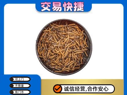 阿坝州理县回收散虫草